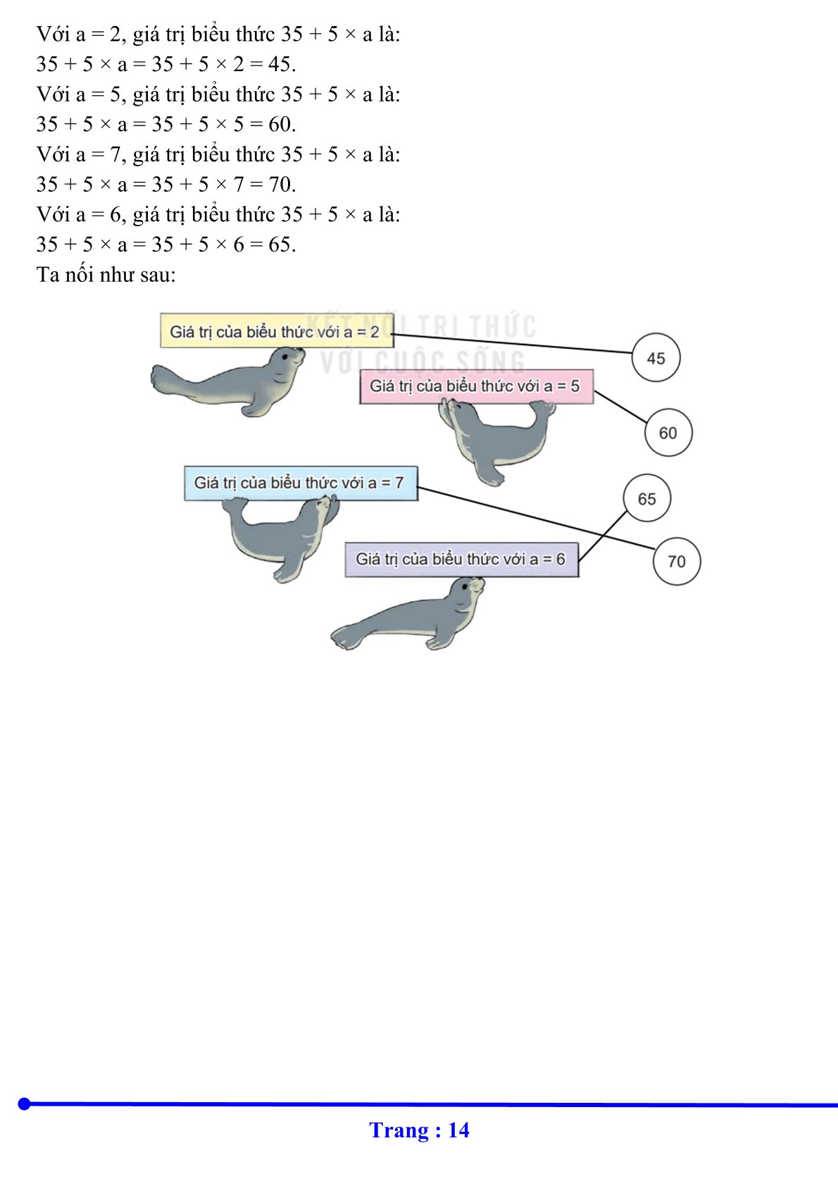 14.cd1.tl4
