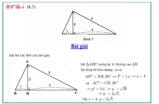 h_9._c.1.1.6