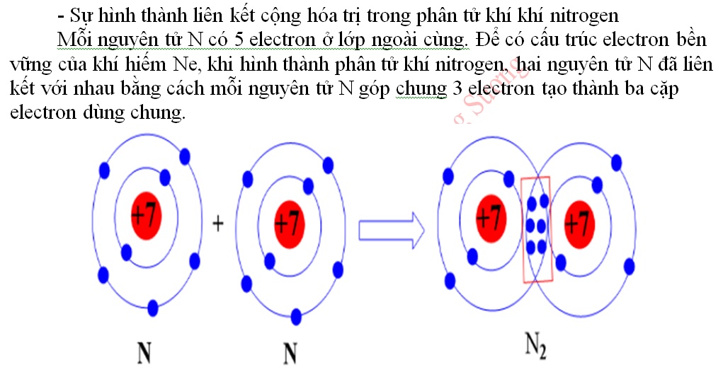 k_7_-_chude_2-6-10