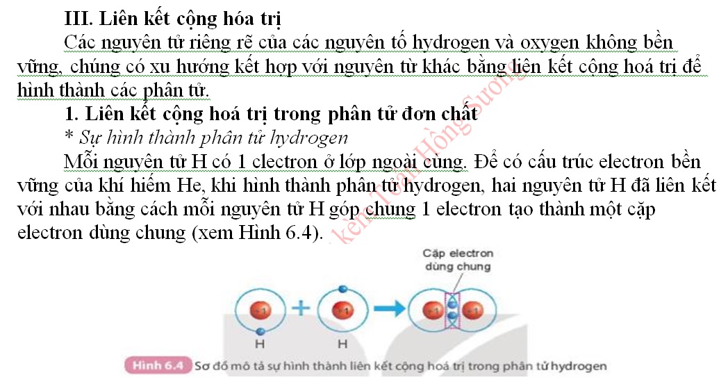 k_7_-_chude_2-6-6