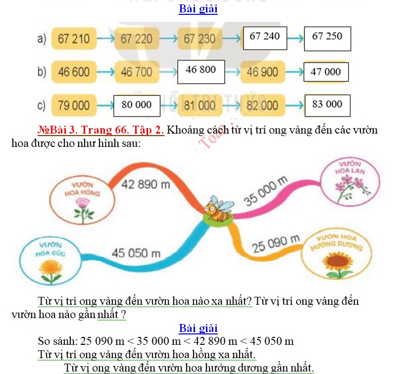 t3.cd11.62.2