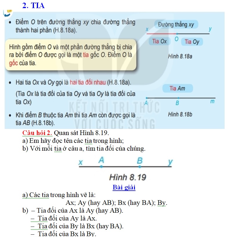 t6.c8.33.4